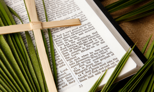 Palm Sunday KJV Bible and Palms Branches