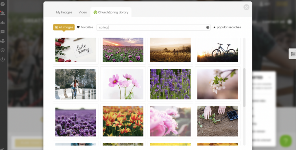 screenshot churchspring library